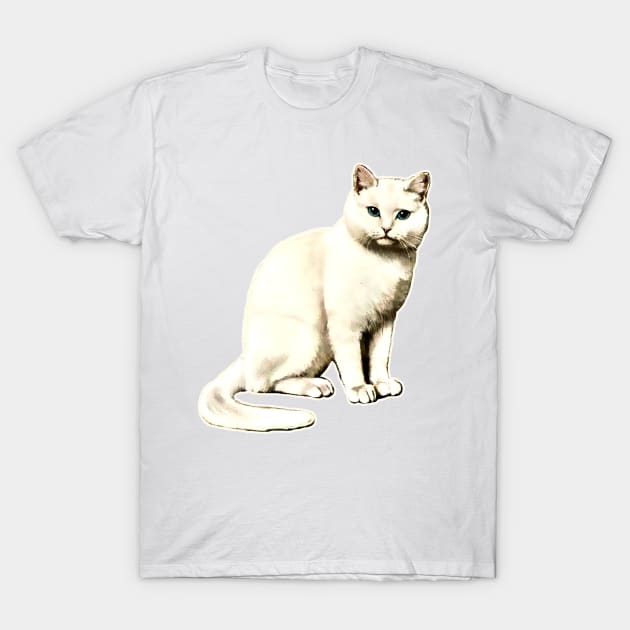 Cute white cat T-Shirt by Marccelus